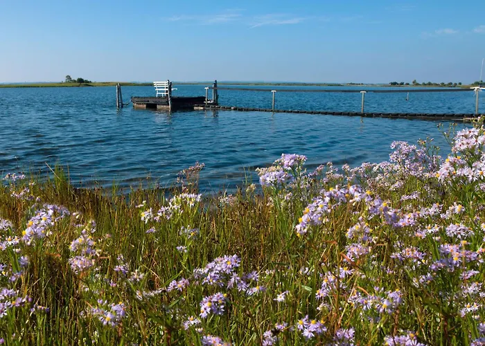 Me-see * Malchow (Poel Island)